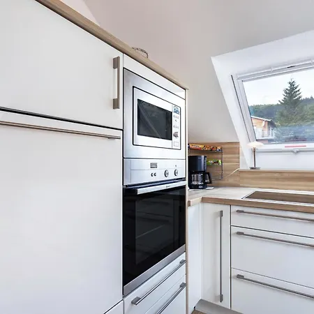 Appartement Haus Schoenblick - Sarina 2 Willingen (Upland)